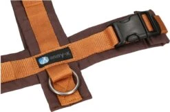 Anny.X Hondentuig Y Tuig Bruin Barnsteen Maat L Geschikt Voor Borstomvang 70-86cm -Dieren Product Winkel 1200x789 3