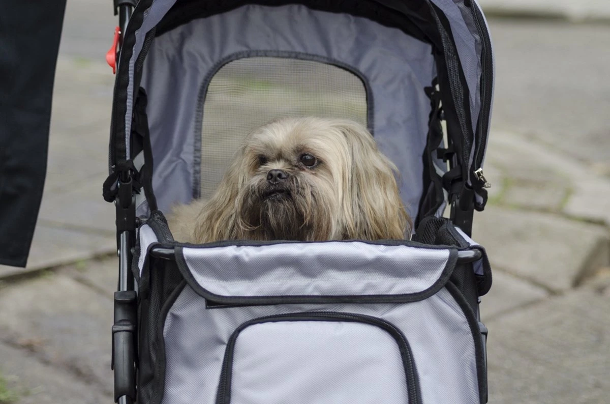 InnoPet All Terrain - Hondenbuggy - Zwart/Zilver - 85x52x96cm 7 InnoPet All Terrain - Hondenbuggy - Zwart/Zilver - 85x52x96cm - Afbeelding 7