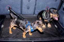 Doggz - Autogordel Hond - Nieuw Past In Alle Auto's Door Kliksysteem En Haak - Extra Stevig - Hondengordel Voor Auto - Honden Autogordel -Dieren Product Winkel 1200x798 11