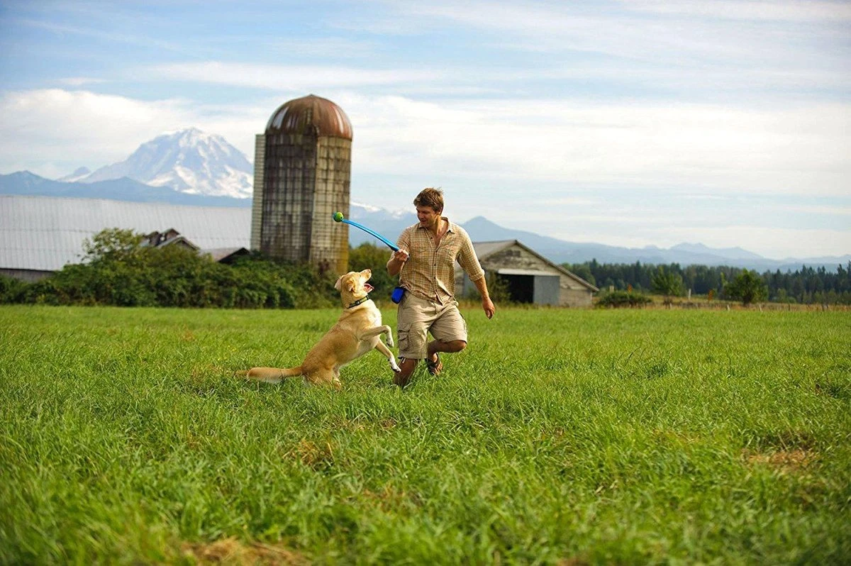Benson Rode Honden Ballenwerper Met Ergonomische Handgreep – Inclusief Tennisbal – 38cm – Rood | Balwerper Voor Hond | Bal Werpen | Apporteer Speelgoed | Hondenspeelgoed 4 Benson Rode Honden Ballenwerper Met Ergonomische Handgreep – Inclusief Tennisbal – 38cm – Rood | Balwerper Voor Hond | Bal Werpen | Apporteer Speelgoed | Hondenspeelgoed - Afbeelding 4