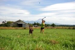Benson Rode Honden Ballenwerper Met Ergonomische Handgreep – Inclusief Tennisbal – 38cm – Rood | Balwerper Voor Hond | Bal Werpen | Apporteer Speelgoed | Hondenspeelgoed 15 Benson Rode Honden Ballenwerper Met Ergonomische Handgreep – Inclusief Tennisbal – 38cm – Rood | Balwerper Voor Hond | Bal Werpen | Apporteer Speelgoed | Hondenspeelgoed -Dieren Product Winkel 1200x798 20