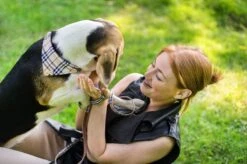 Pepets © Luxe Hondenriem Set – Halsband Hond – Bandana Hond – Strik Hond – Hondenstrik – Hondenhalsband – Leiband Hond -Beige Ruit - Maat S 18 Pepets © Luxe Hondenriem Set – Halsband Hond – Bandana Hond – Strik Hond – Hondenstrik – Hondenhalsband – Leiband Hond -Beige Ruit - Maat S -Dieren Product Winkel 1200x798 28