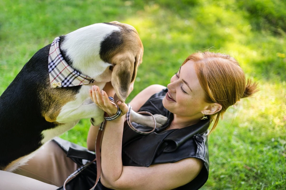 Pepets © Luxe Hondenriem Set – Halsband Hond – Bandana Hond – Strik Hond – Hondenstrik – Hondenhalsband – Leiband Hond -Beige Ruit - Maat S 7 Pepets © Luxe Hondenriem Set – Halsband Hond – Bandana Hond – Strik Hond – Hondenstrik – Hondenhalsband – Leiband Hond -Beige Ruit - Maat S - Afbeelding 7