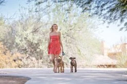 Wigzi Dual Doggie 2.0 Voor Twee Honden - Hondenriem - Grijs - 3m - <22 Kg (per Hond) -Dieren Product Winkel 1200x799 11