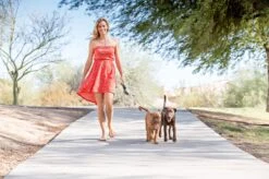 Wigzi Dual Doggie 2.0 Voor Twee Honden - Hondenriem - Grijs - 3m - <22 Kg (per Hond) -Dieren Product Winkel 1200x799 13