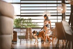 Julius K9 Julius-K9 IDC®Powertuig, XL - Maat 2, Zwart -Dieren Product Winkel 1200x799 30