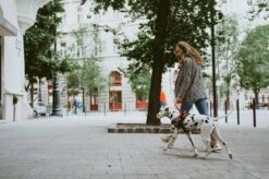 Julius K9 Julius-K9 IDC®Powertuig, L - Maat 1, Zwart 19 Julius K9 Julius-K9 IDC®Powertuig, L - Maat 1, Zwart -Dieren Product Winkel 1200x799 31