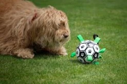 Honden Speelgoed Bal Voetbal Extra Sterk Met Handvaten Ball Hondenbal - 15 Cm - Dutchwide -Dieren Product Winkel 1200x799 45