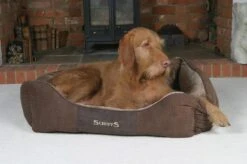 Hondenmand Zacht En Stevig, Anti-Slip En Wasbaar - Scruffs Chester Box Bed - In Grijs En Bruin In Maat S Tot XL - Kleur: Grijs, Maat: Large -Dieren Product Winkel 1200x799 56