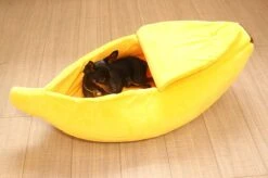 N/A Kattenhuis Banaan L - Hondenhuis Banaan L - 65x25x18 Cm - Kattenmand - Hondenmand - Dierenmand - Cadeau Kat -Dieren Product Winkel 1200x799 60