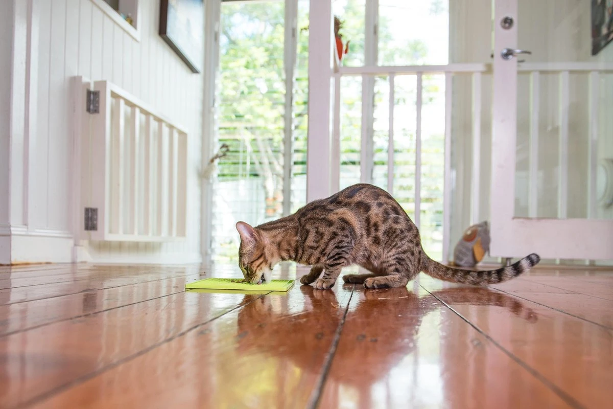 Lickimat Buddy - Voermat Voor Natvoer En Brokjes - Slow Feeder 2 Lickimat Buddy - Voermat Voor Natvoer En Brokjes - Slow Feeder - Afbeelding 2