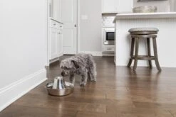 PetSafe® Seaside Stainless Steel Pet Fountain - RVS Drinkfontein Voor Katten En Kleine Honden - Water Borrelt Zacht Over De Toren - Door Het Design Van Alle Kanten Bereikbaar - 1,8 Liter - PetSafe Seaside -Dieren Product Winkel 1200x800 16