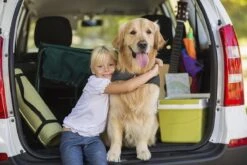 Thundershirt Antistress Vest - Dieren Antistressmiddel - Hond - Grijs - S - 43-53 Cm -Dieren Product Winkel 1200x800 166