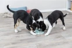 Trixie Junior Likplaat Mintgroen - 21X21 CM -Dieren Product Winkel 1200x800 173