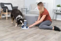 Trixie Dog Activity Gambling Tower - 27X25 CM 26 Trixie Dog Activity Gambling Tower - 27X25 CM -Dieren Product Winkel 1200x800 193