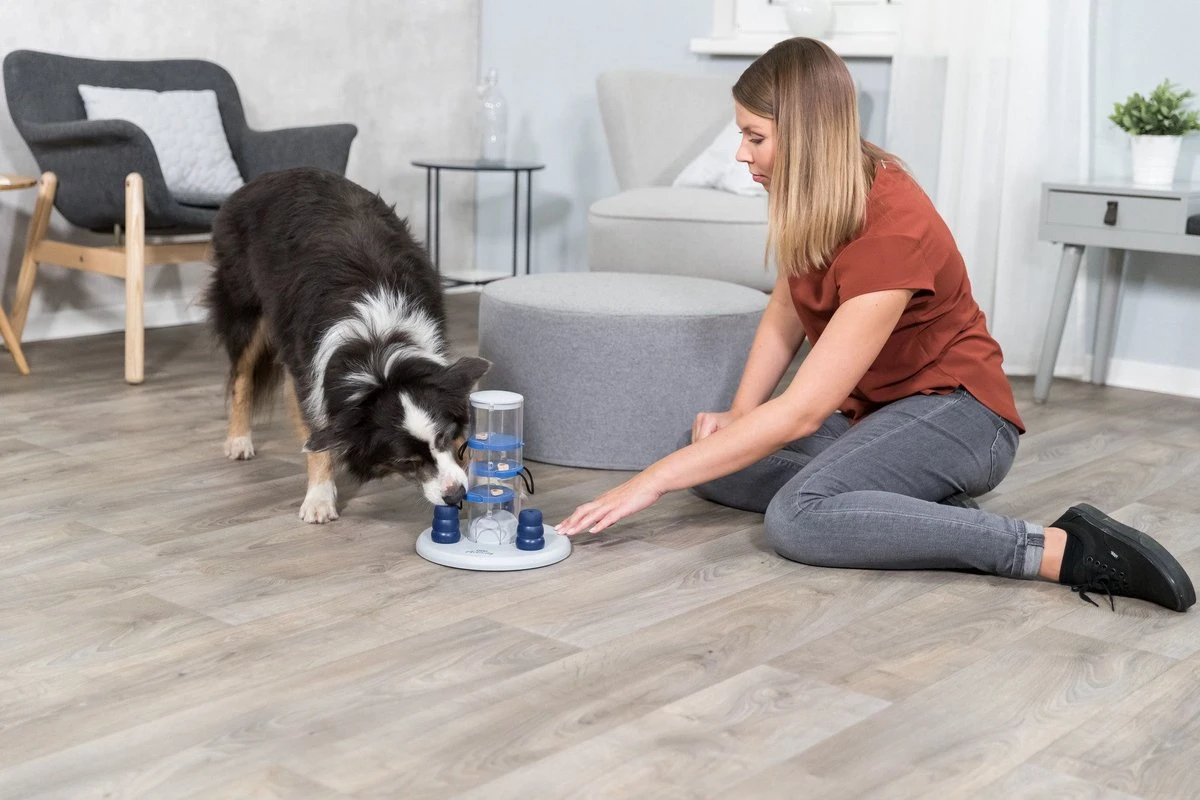 Trixie Dog Activity Gambling Tower - 27X25 CM 11 Trixie Dog Activity Gambling Tower - 27X25 CM - Afbeelding 11