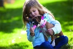 Kong Puppy - Kauwbot Hondenspeelgoed Small - Kauwbot - 85mm X 42mm - Groen/Wit -Dieren Product Winkel 1200x800 215