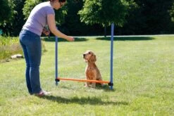 Trixie Dog Activity Agility Horde - Blauw/Oranje - 123 X 115 X 3 Cm -Dieren Product Winkel 1200x800 224