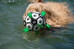 Honden Speelgoed Bal Voetbal Extra Sterk Met Handvaten Ball Hondenbal - 15 Cm - Dutchwide -Dieren Product Winkel 1200x800 226