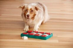 Nina Ottosson - Hondenspel - Dog Brick -Dieren Product Winkel 1200x800 243