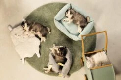 Beeztees Puppy Cosy Doggy - Hondenspeelgoed - Grijs - 120x12x9,5 Cm -Dieren Product Winkel 1200x800 247