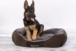 Hondenmand Zacht En Stevig, Anti-Slip En Wasbaar - Scruffs Chester Box Bed - In Grijs En Bruin In Maat S Tot XL - Kleur: Grijs, Maat: Large -Dieren Product Winkel 1200x800 266