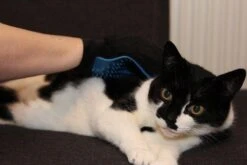 Merkloos Vachtverzorgingshandschoen -Dieren Product Winkel 1200x800 60