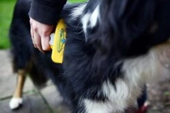 Furminator® Hond Langhaar - Vermindert Haaruitval Tot 90% - Hondenborstel - L -Dieren Product Winkel 1200x800 62