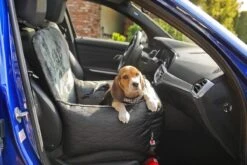 Bella Black - Autostoel Voor Hond - 50x50cm - Wasbaar - Hondenmand Auto - Handgemaakt 19 Bella Black - Autostoel Voor Hond - 50x50cm - Wasbaar - Hondenmand Auto - Handgemaakt -Dieren Product Winkel 1200x800 83