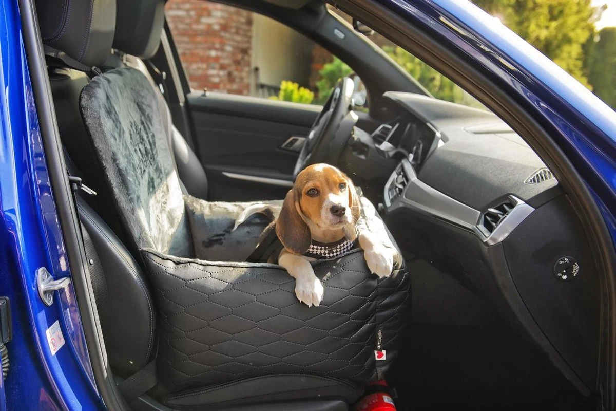 Bella Black - Autostoel Voor Hond - 50x50cm - Wasbaar - Hondenmand Auto - Handgemaakt 7 Bella Black - Autostoel Voor Hond - 50x50cm - Wasbaar - Hondenmand Auto - Handgemaakt - Afbeelding 7