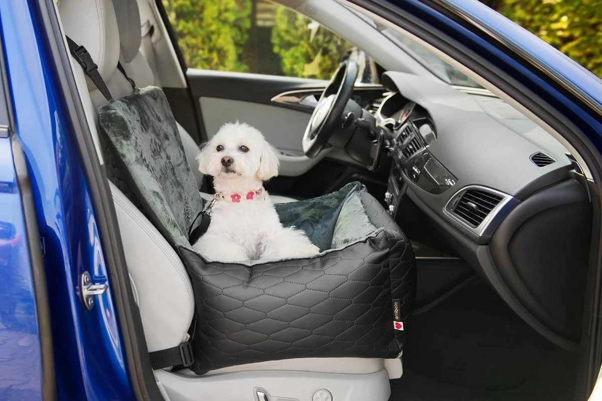 Bella Black - Autostoel Voor Hond - 50x50cm - Wasbaar - Hondenmand Auto - Handgemaakt 9 Bella Black - Autostoel Voor Hond - 50x50cm - Wasbaar - Hondenmand Auto - Handgemaakt - Afbeelding 9