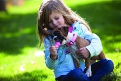 Kong Puppy - Hondenspeelgoed - Assorti - L -Dieren Product Winkel 1200x801 11