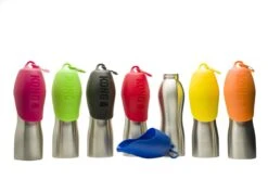 KONG H2O 740 Ml Rvs Waterfles Zwart -Dieren Product Winkel 1200x801 9