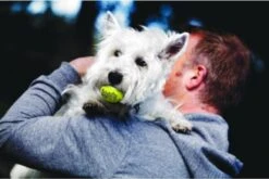 Kong Squeakair Ball - Hondenspeelgoed - 6 St 10 Kong Squeakair Ball - Hondenspeelgoed - 6 St -Dieren Product Winkel 1200x802 9