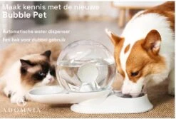 AdomniaGoods - Automatische Katten Voerbak - Antislip Honden Voerbak - Unique Transparant/grijs Design - Altijd Hygiënisch Schoon Water! -Dieren Product Winkel 1200x810