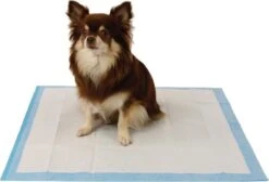 Easypets Puppy Training Pads - Zindelijkheidstraining - Hondentoilet - 58 X 58 Cm - 105 Stuks -Dieren Product Winkel 1200x814 1