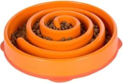 Outward Hound Slo Bowl Fun Feeder Voerbak - M - Oranje - Ø 28 Cm 25 Outward Hound Slo Bowl Fun Feeder Voerbak - M - Oranje - Ø 28 Cm -Dieren Product Winkel 1200x815 8