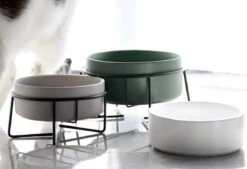 GIZMO 2x Voerbak Kat - 400 Ml - Groen - Keramische Drink- & Voerbakken Met Standaard - 13 Cm - 2 Stuks 23 GIZMO 2x Voerbak Kat - 400 Ml - Groen - Keramische Drink- & Voerbakken Met Standaard - 13 Cm - 2 Stuks -Dieren Product Winkel 1200x823