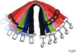 Hondengordel Met Hondenborstel - Vacht Verzorging Massage Borstel - Honden Katten Huisdieren - Verzorgingsborstel Handschoen - Gordel Riem Autogordel Seat Belt - Voordeelpack 11 Hondengordel Met Hondenborstel - Vacht Verzorging Massage Borstel - Honden Katten Huisdieren - Verzorgingsborstel Handschoen - Gordel Riem Autogordel Seat Belt - Voordeelpack -Dieren Product Winkel 1200x832 2