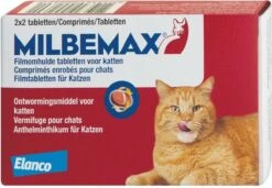 Milbemax Kat Groot - 1 ST à 2 X 2 TABL -Dieren Product Winkel 1200x832