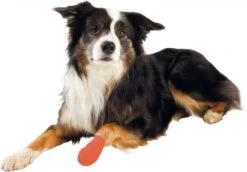 Trixie - Zelfklevend Verband - 5cm 4,5mtr - 4st -Dieren Product Winkel 1200x838 2