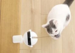 Merkloos Kattenhengel - Elektrisch Kattenspeelgoed - Kattenspeeltjes - Automatische Hengel - Kitten Speelgoed - Interactief Kattenspeelgoed - Bal - Katten - Poesjes - Kitten - Kat - Kattenbal - Kattenspeeltjes Intelligentie -Dieren Product Winkel 1200x845 1