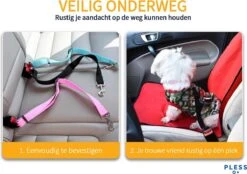 Hondengordel Met Hondenborstel - Vacht Verzorging Massage Borstel - Honden Katten Huisdieren - Verzorgingsborstel Handschoen - Gordel Riem Autogordel Seat Belt - Voordeelpack 8 Hondengordel Met Hondenborstel - Vacht Verzorging Massage Borstel - Honden Katten Huisdieren - Verzorgingsborstel Handschoen - Gordel Riem Autogordel Seat Belt - Voordeelpack -Dieren Product Winkel 1200x847 3