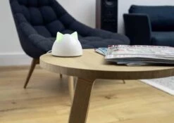 Sureflap Connect HUB -Dieren Product Winkel 1200x848 1