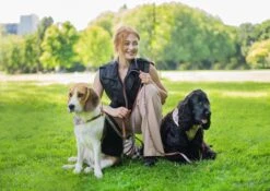 Pepets © Luxe Hondenriem Set – Halsband Hond – Bandana Hond – Strik Hond – Hondenstrik – Hondenhalsband – Leiband Hond -Beige Ruit - Maat S 21 Pepets © Luxe Hondenriem Set – Halsband Hond – Bandana Hond – Strik Hond – Hondenstrik – Hondenhalsband – Leiband Hond -Beige Ruit - Maat S -Dieren Product Winkel 1200x850 19