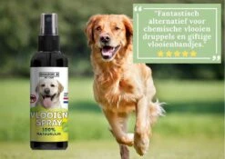 100% Natuurlijke Vlooienspray - Hond - Tegen Vlooien - 100 Ml - Vachtspray - Veilig- Verantwoord - Made In Holland -Dieren Product Winkel 1200x851 11
