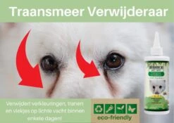 Traansmeer Verwijderaar Hond - Mega Fles - 237ml - Traanstreep Remover - Traansmeer Remover - Tegen Korstjes En Verkleuringen Bij Honden Met Lichte Vacht 8 Traansmeer Verwijderaar Hond - Mega Fles - 237ml - Traanstreep Remover - Traansmeer Remover - Tegen Korstjes En Verkleuringen Bij Honden Met Lichte Vacht -Dieren Product Winkel 1200x851 13