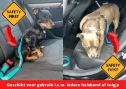 Autogordel Voor Honden - Rood - Voor Optimale Veiligheid Onderweg Voor Hond En Baasje - Schok Absorberend - Hondengordel - Voor Alle Honden - Bestand Tegen Grote Krachten - Geschikt Voor Bijna Alle Auto's -Dieren Product Winkel 1200x851 4