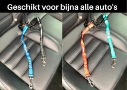 Autogordel Voor Honden - Rood - Voor Optimale Veiligheid Onderweg Voor Hond En Baasje - Schok Absorberend - Hondengordel - Voor Alle Honden - Bestand Tegen Grote Krachten - Geschikt Voor Bijna Alle Auto's -Dieren Product Winkel 1200x851 6