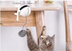 Merkloos Kattenhengel - Elektrisch Kattenspeelgoed - Kattenspeeltjes - Automatische Hengel - Kitten Speelgoed - Interactief Kattenspeelgoed - Bal - Katten - Poesjes - Kitten - Kat - Kattenbal - Kattenspeeltjes Intelligentie -Dieren Product Winkel 1200x852 1